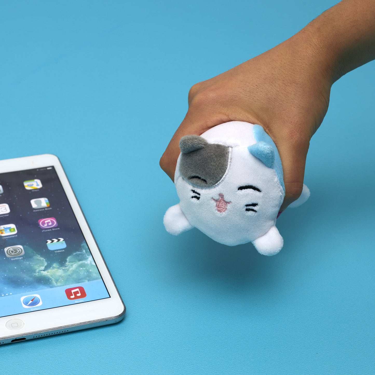 MINI SQUISHY CHAT BLEU