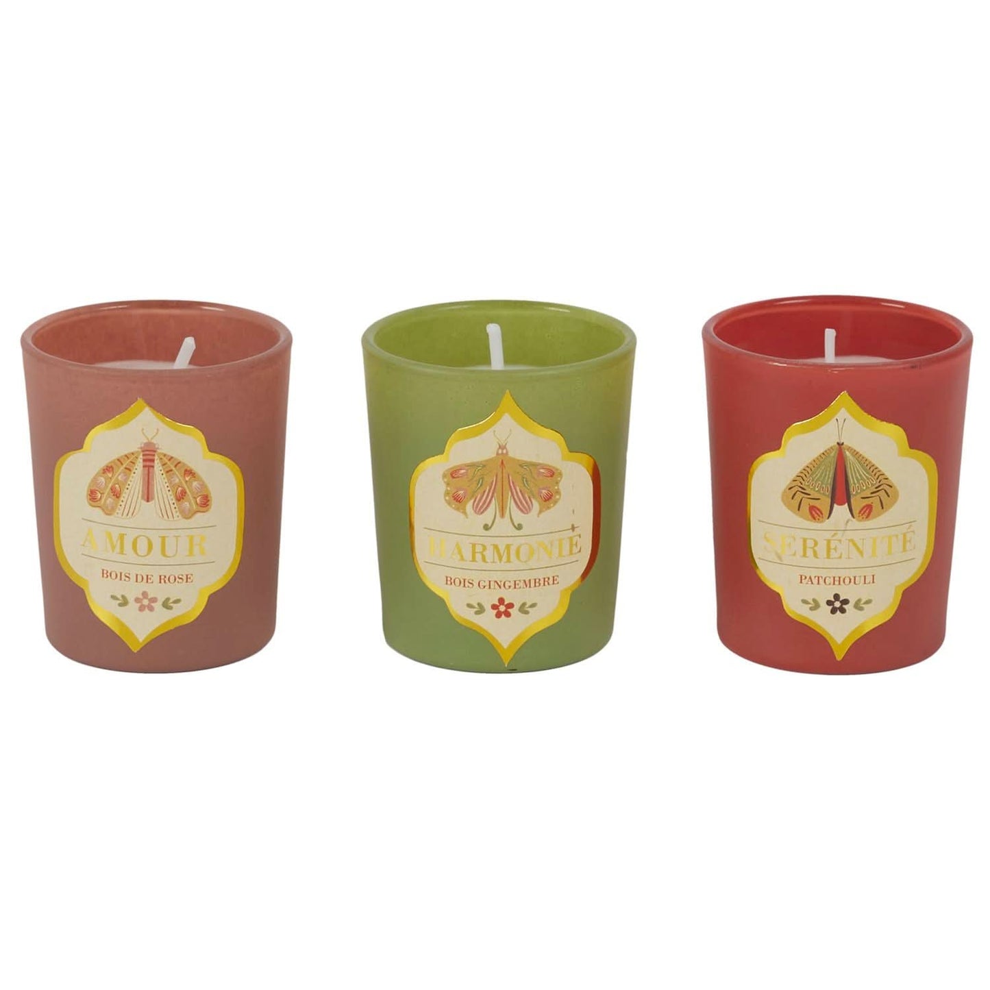 COFFRET DE 12 BOUGIES MYSTERY FOREST