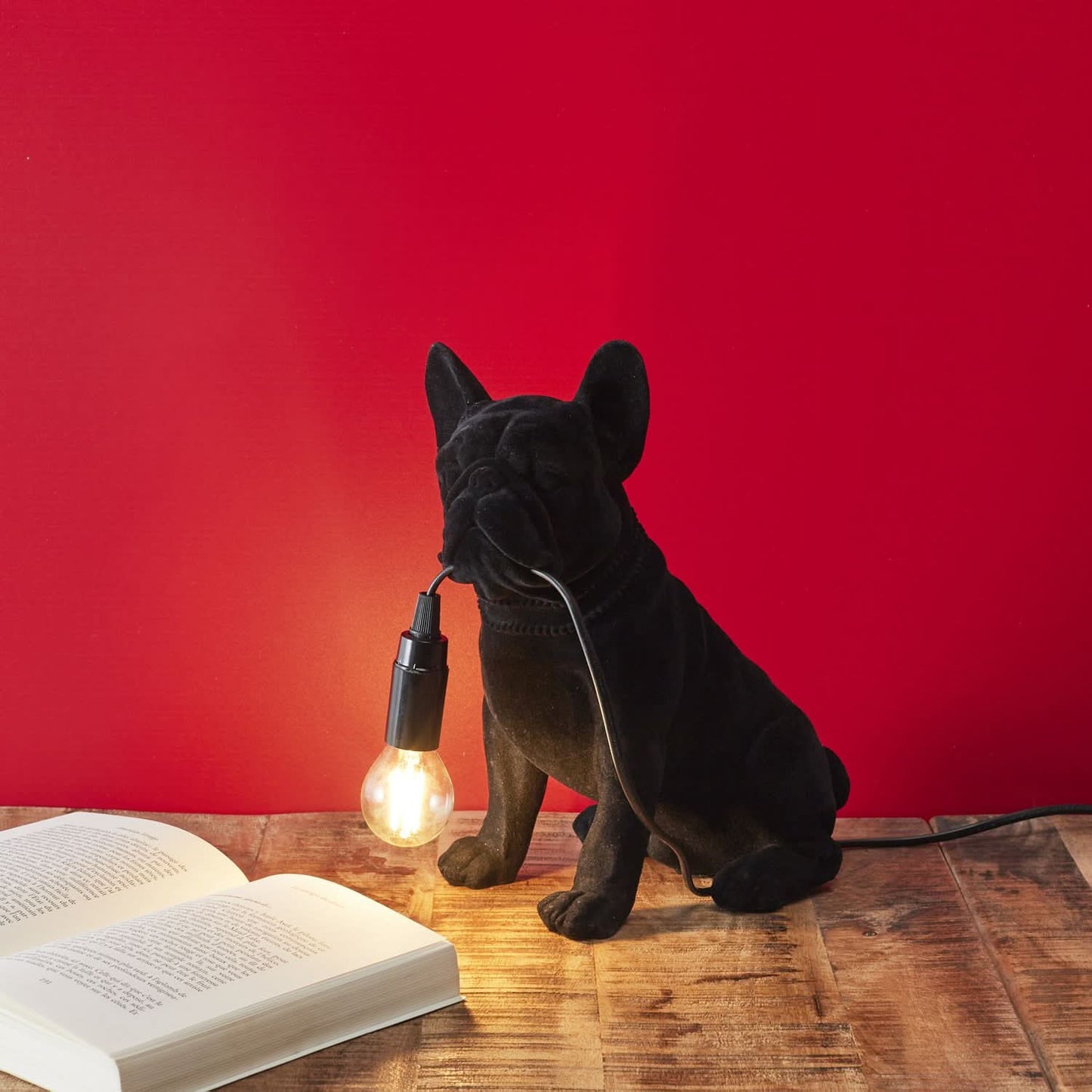 LAMPE BOULEDOGUE BLACK VELVET