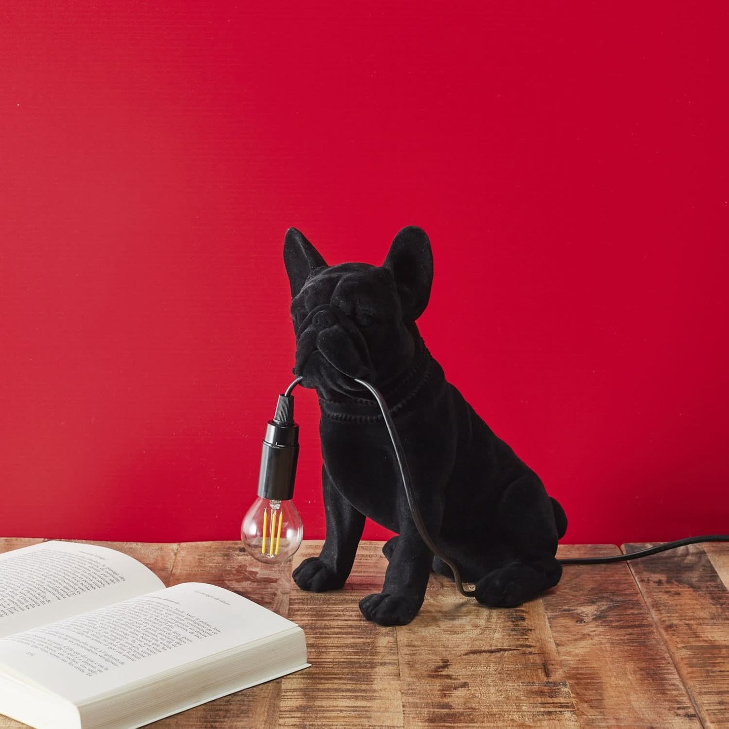 LAMPE BOULEDOGUE BLACK VELVET