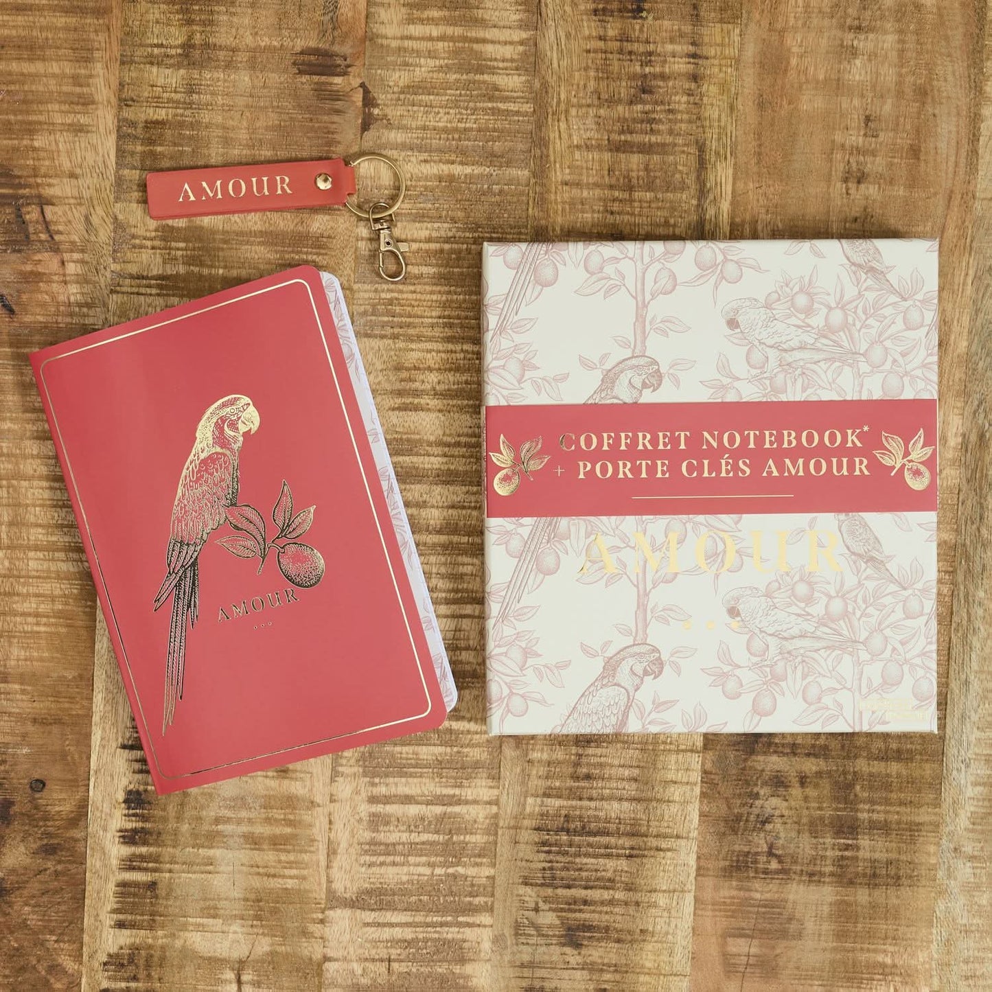 COFFRET NOTEBOOK JARDIN D'EDEN (coloris aléatoire)