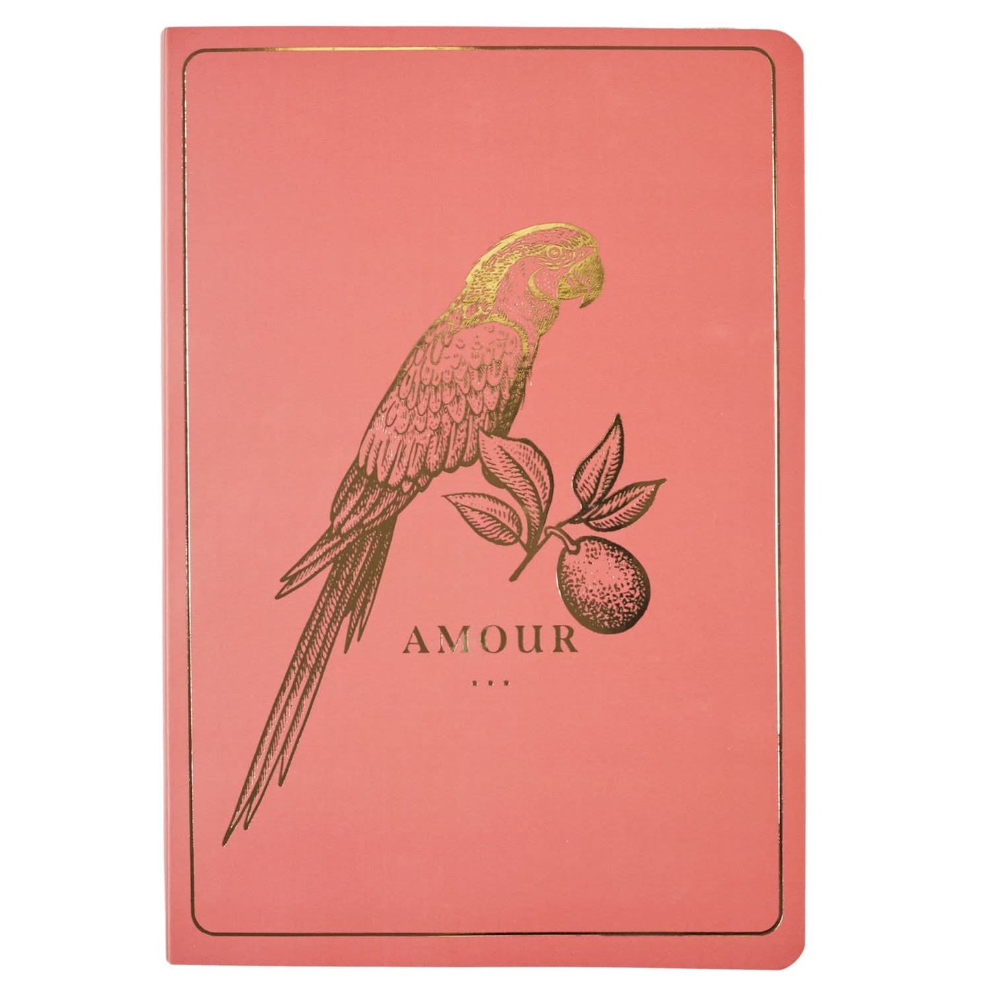 COFFRET NOTEBOOK JARDIN D'EDEN (coloris aléatoire)