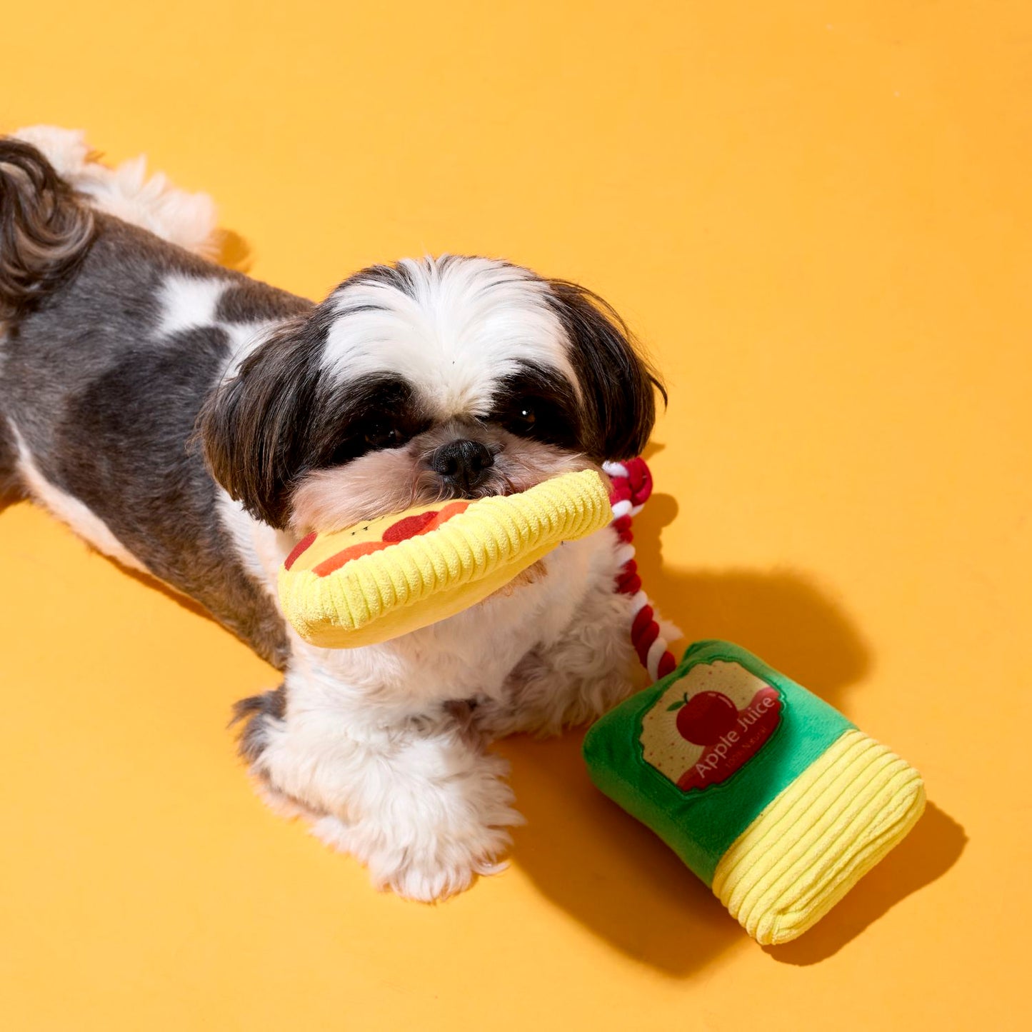 COFFRET JOUETS CHIEN PIZZA ET JUS DE POMME
