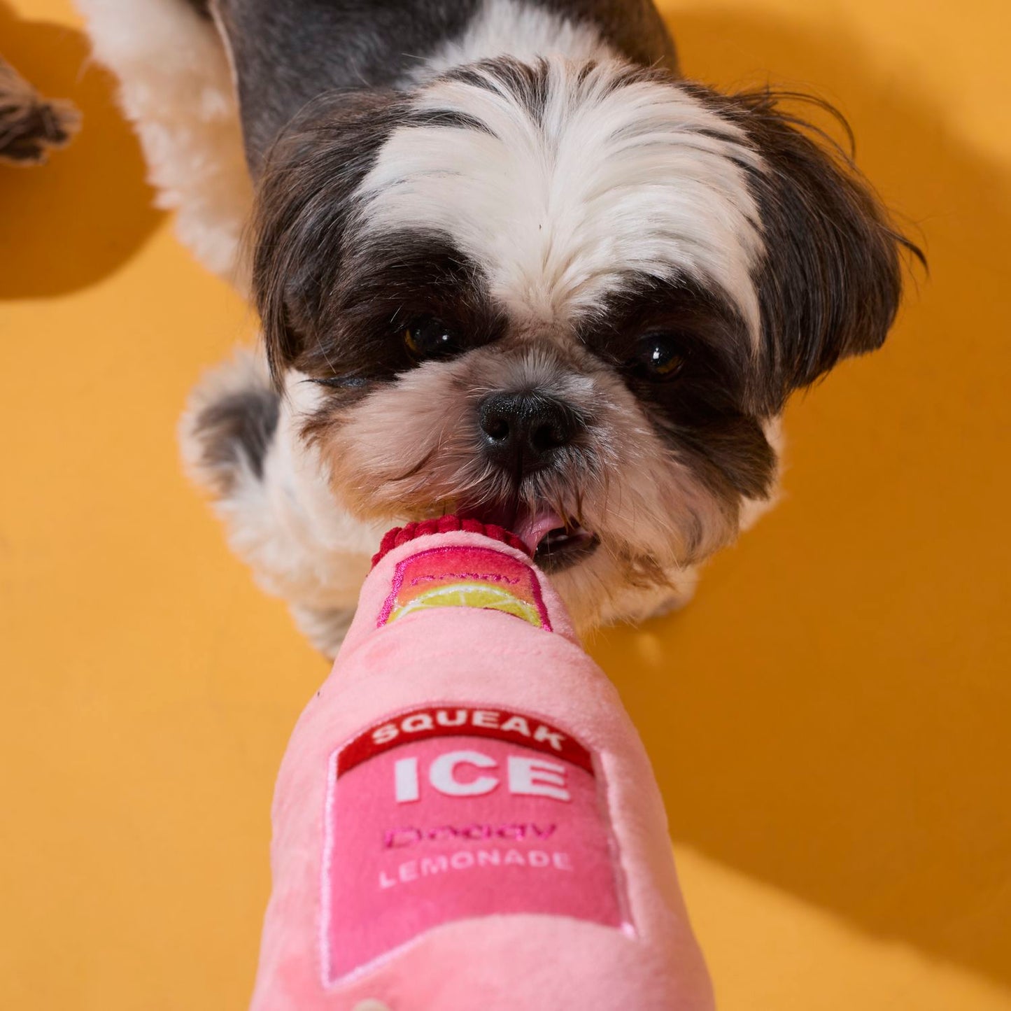 COFFRET JOUETS CHIEN DONUTS ET LIMONADE