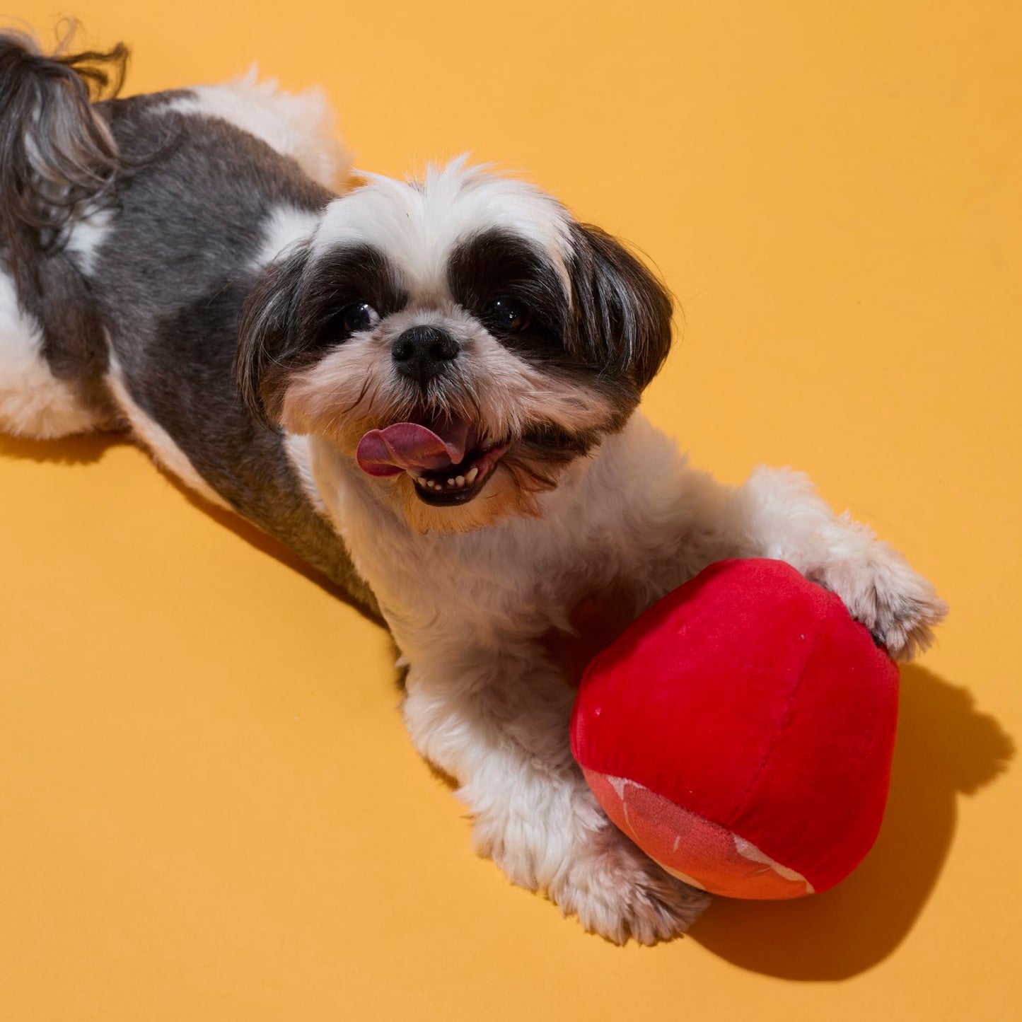 COFFRET JOUETS CHIEN JAMBON ET SAUCISSES