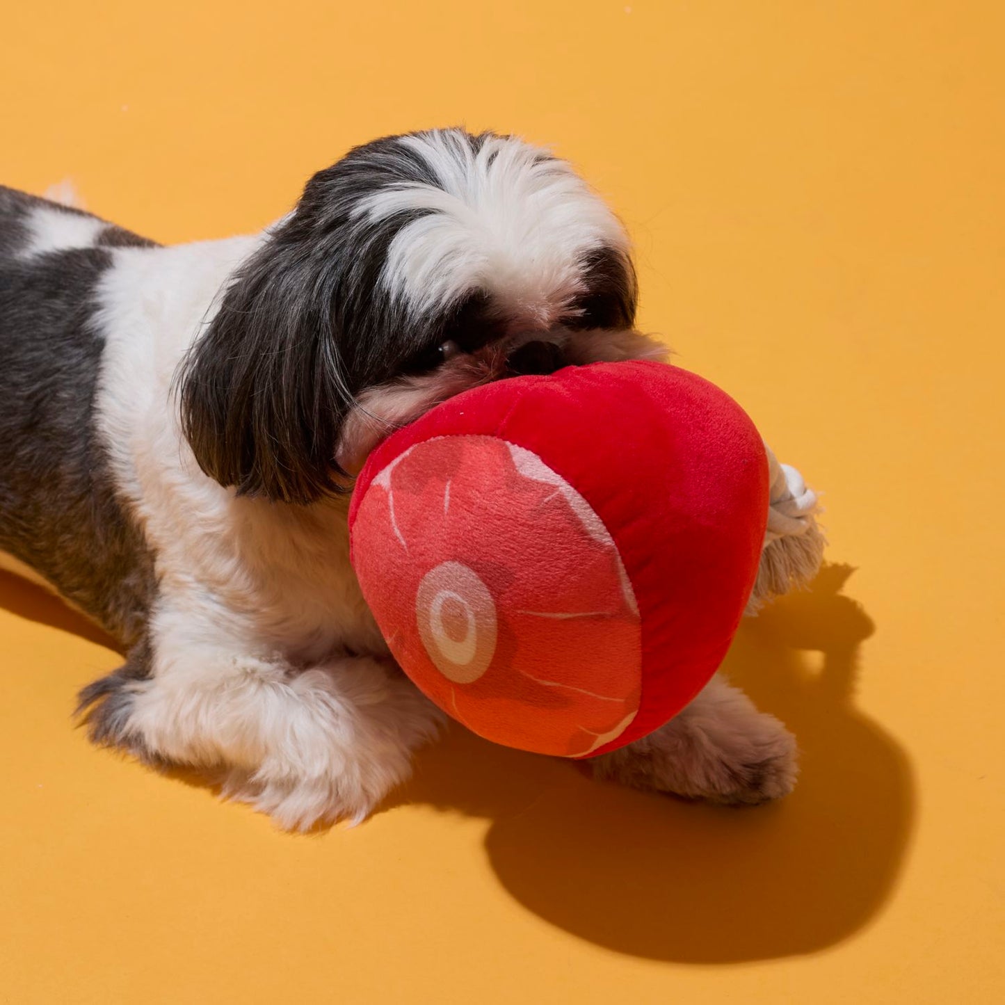 COFFRET JOUETS CHIEN JAMBON ET SAUCISSES