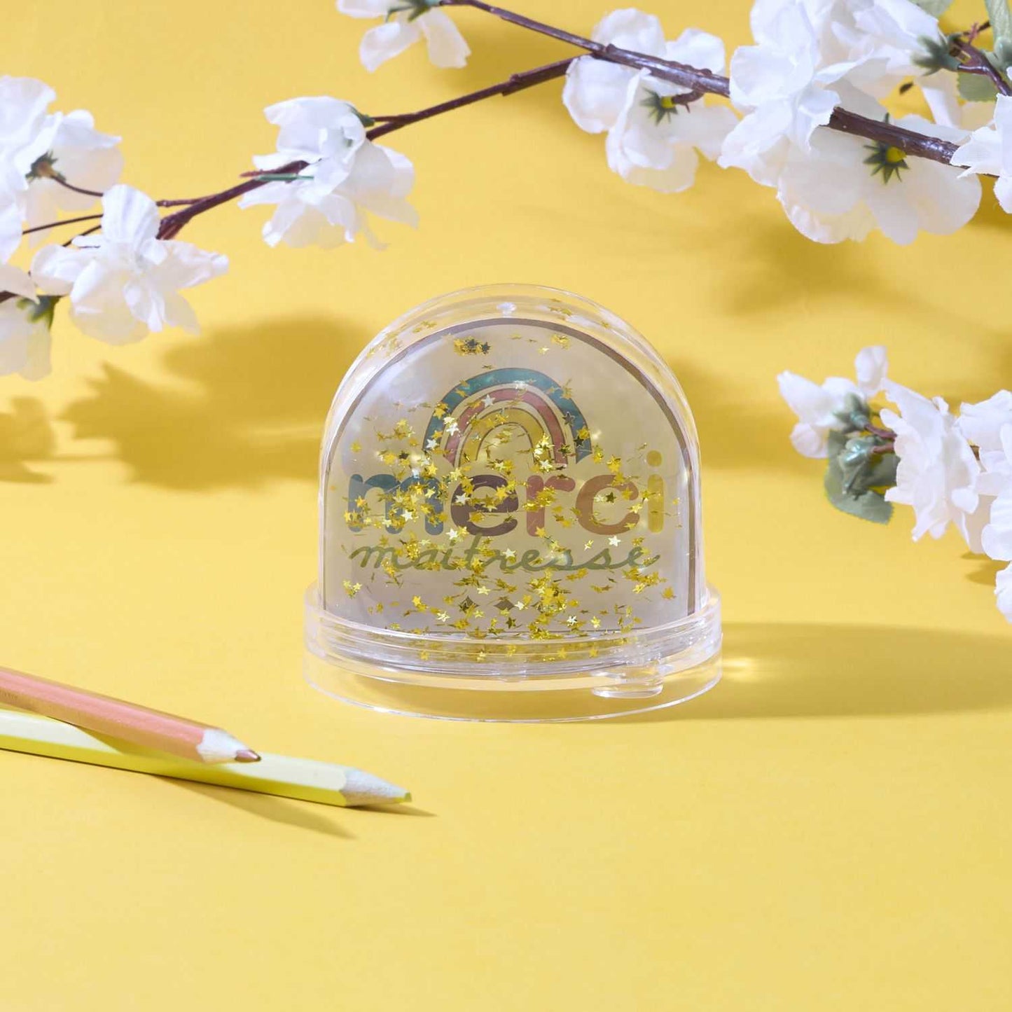 BOULE A NEIGE CADRE PHOTO MERCI