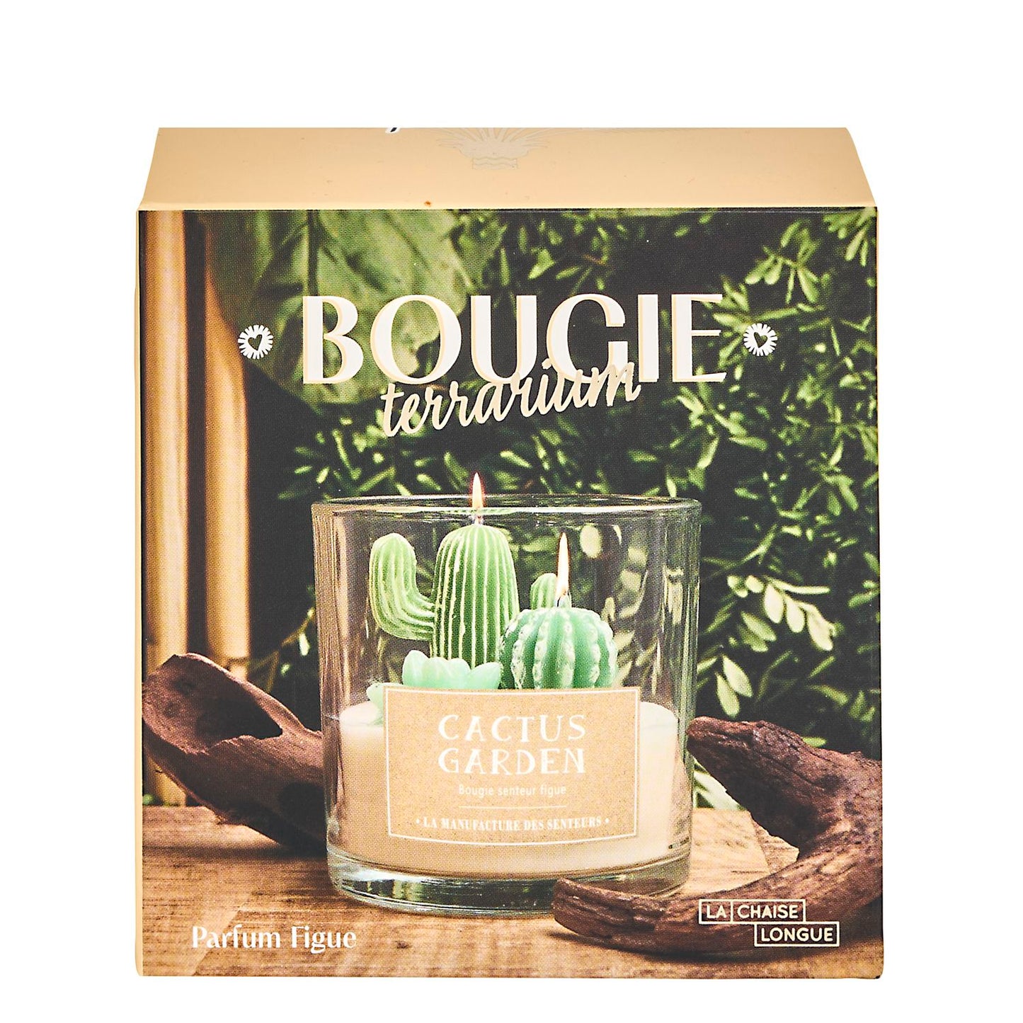 BOUGIE PARFUMEE TERRARIUM