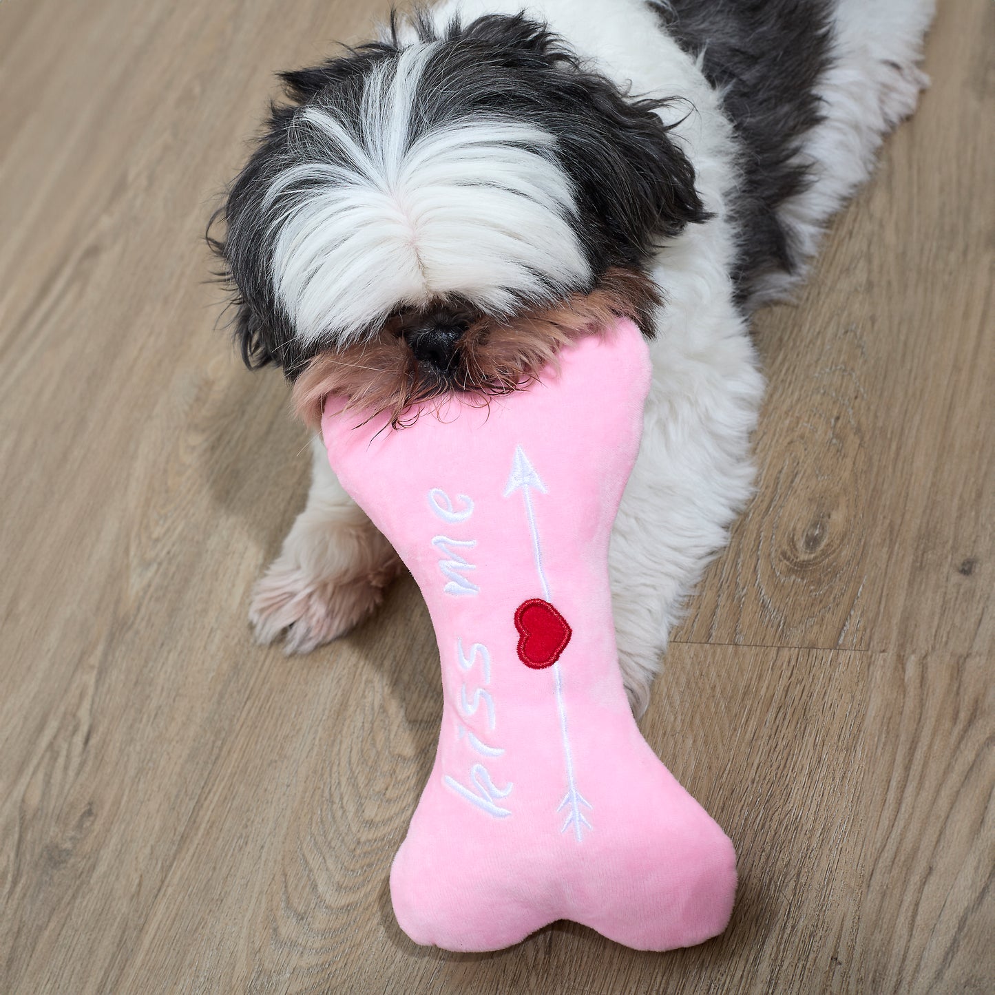 JOUET POUR CHIEN OS KISS ME