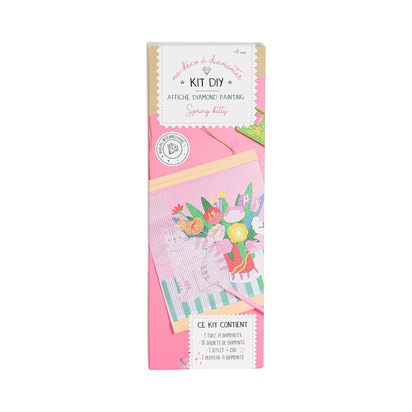 KIT DIY DIAMOND PAINTING AFFICHE SPRING KITTY