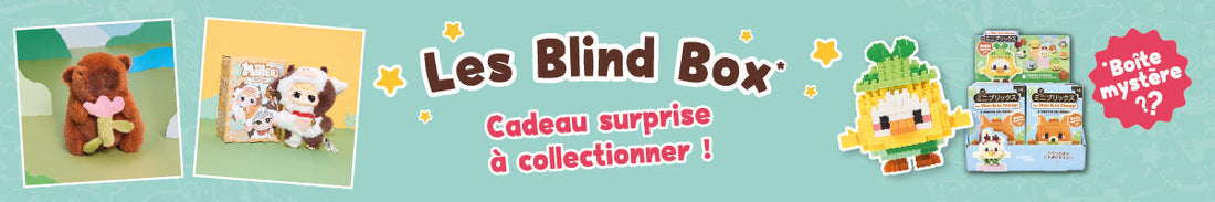 Craquez pour nos Blind Box à collectionner