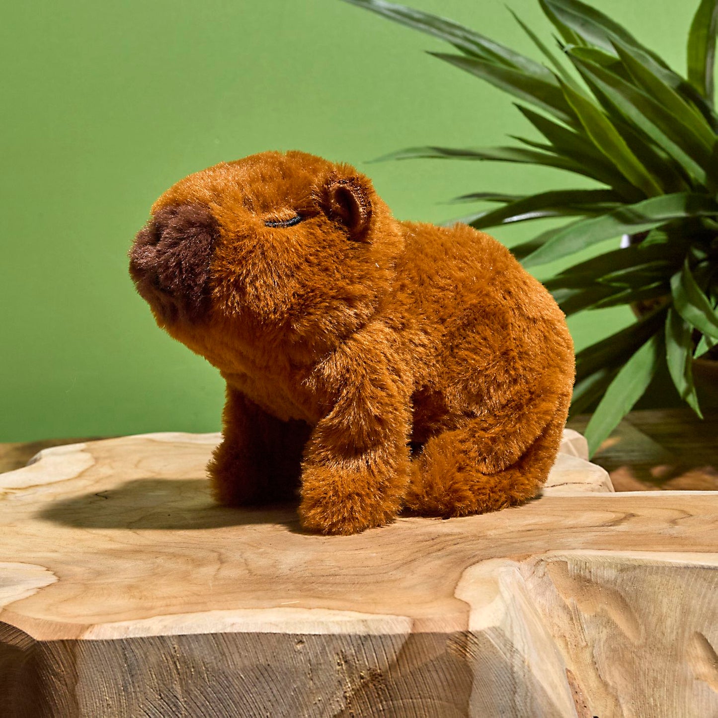 PELUCHE COOKIE LE CAPY QUI MARCHE