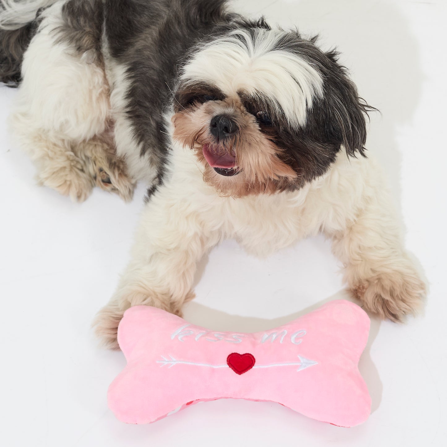 JOUET POUR CHIEN OS KISS ME