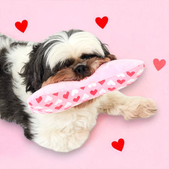 JOUET POUR CHIEN OS KISS ME