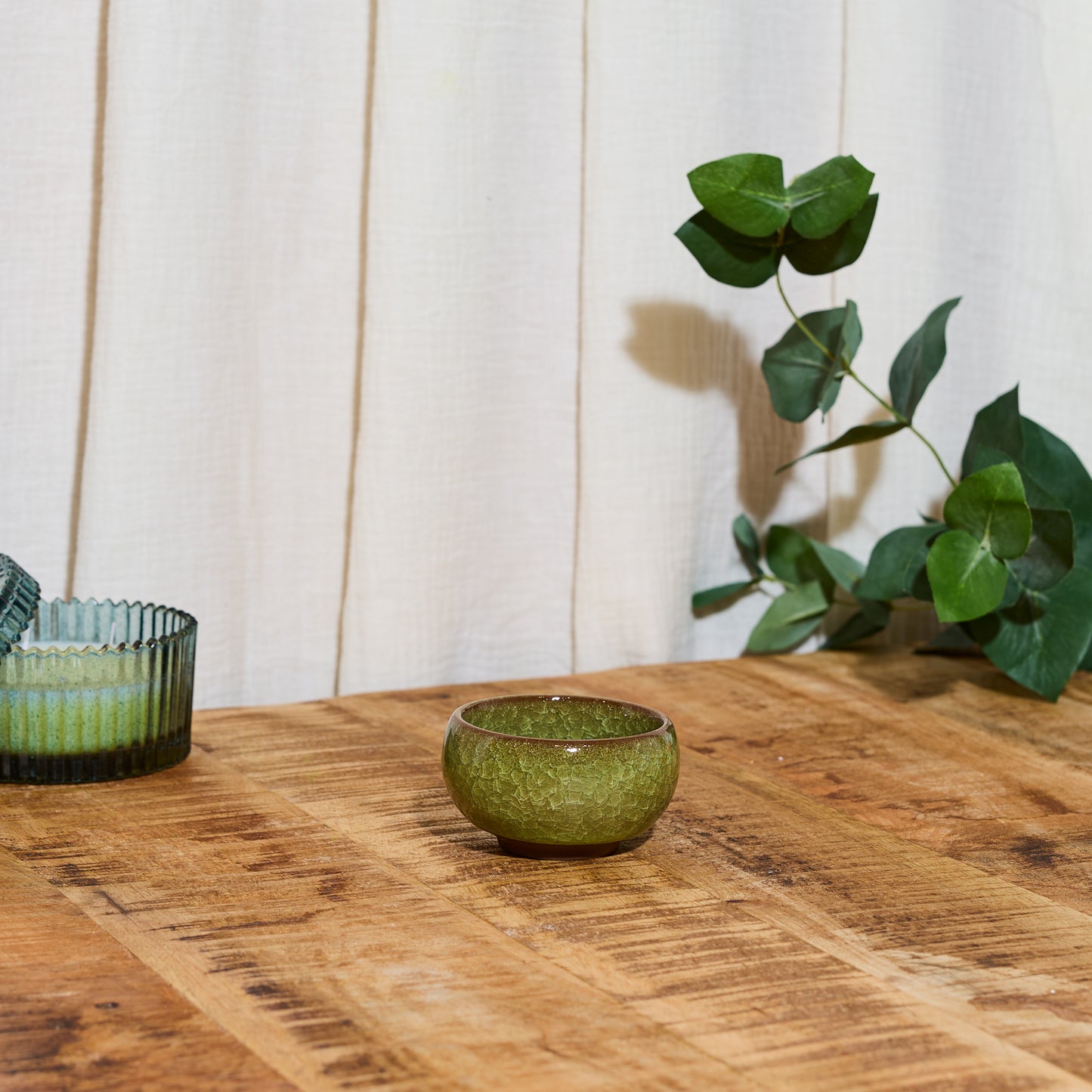 PRÊT A POUSSER BONSAI
