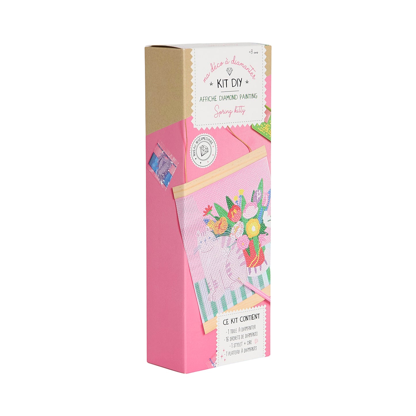KIT DIY DIAMOND PAINTING AFFICHE SPRING KITTY