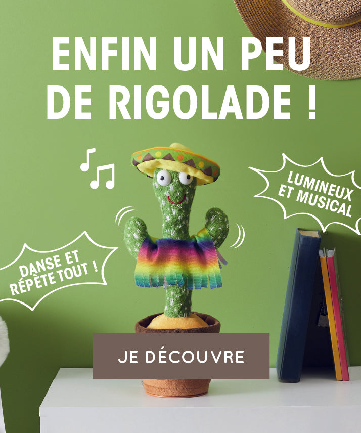 Maison & Objets